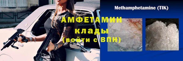 трава Белокуриха