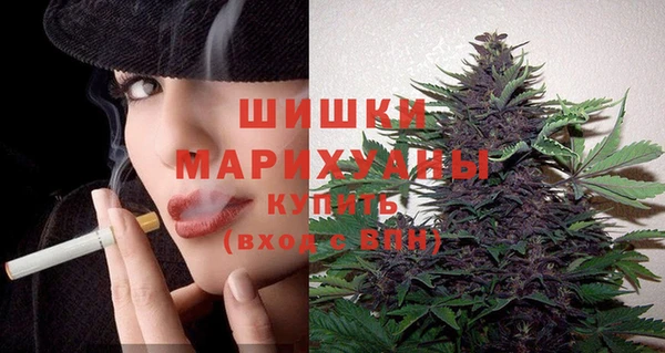 эйфоретик Чекалин