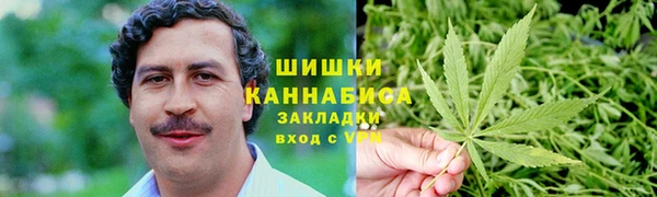 трава Белокуриха